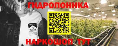 мескалин Кингисепп