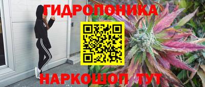 СК Кинель